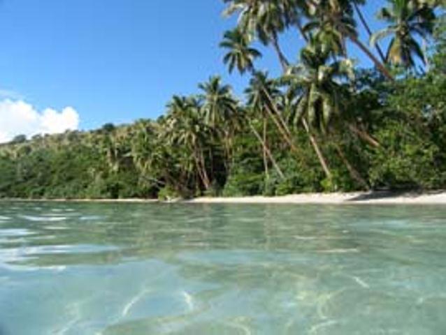 Dolphin Bay Divers Retreat Hotell Vatolotolo Eksteriør bilde